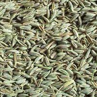 Manufacturers Exporters and Wholesale Suppliers of Cummin Seeds MORBI 